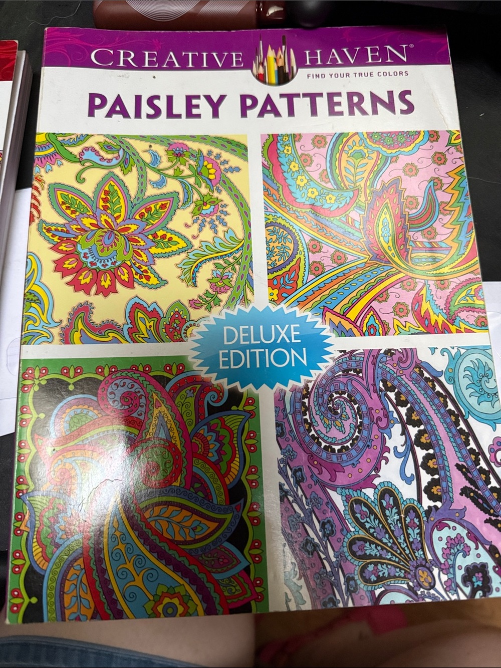 2 Creative Haven Paisley Patterns and Mandalas Coloring Book - Bright Multicolor